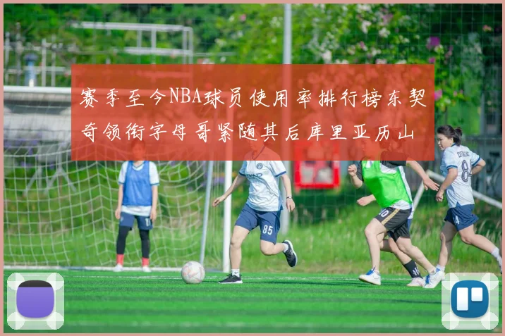 赛季至今NBA球员使用率排行榜东契奇领衔字母哥紧随其后库里亚历山大表现抢眼