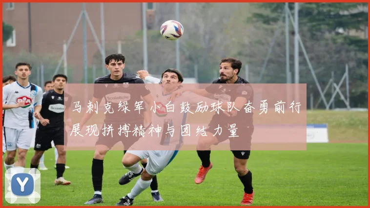 马刺克绿军小白鼓励球队奋勇前行展现拼搏精神与团结力量